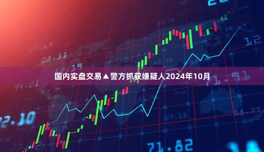 国内实盘交易▲警方抓获嫌疑人2024年10月